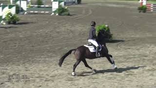 Carina Erickson &amp; Digby Millbrook Horse Trials 2017