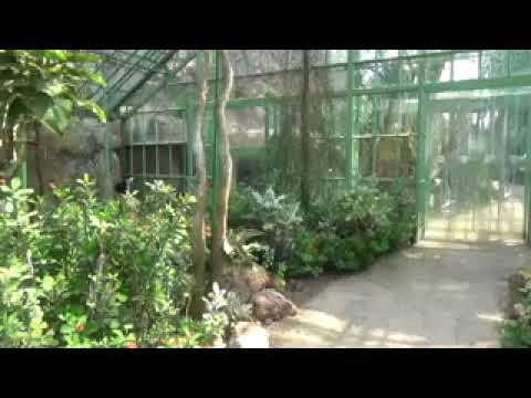 download lagu mp3 mp4 Schnbrunn Desert House, download lagu Schnbrunn Desert House gratis, unduh video klip Schnbrunn Desert House