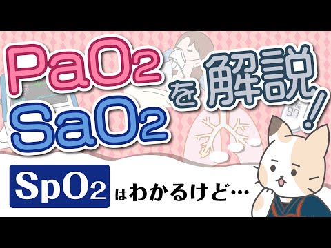 【血ガス】PaO2、SaO2、SpO2を解説！酸素分圧、酸素飽和度について
