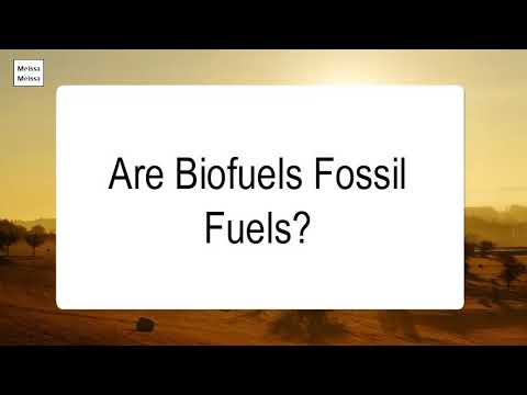 Are Biofuels Fossil Fuels