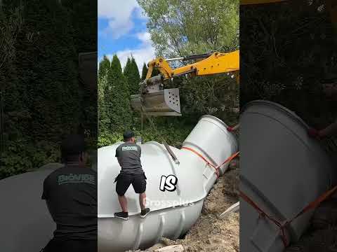 Bunker #shorts #science