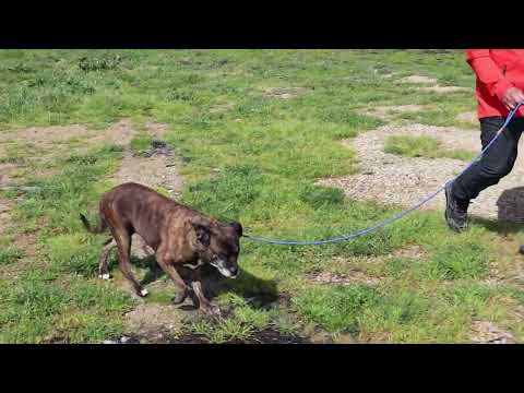 Vídeo de MOLLY