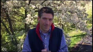 Live Inspired. Vlog Episode #66: A Dose of Humble Pie