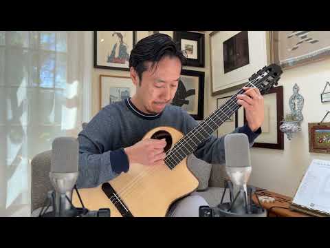 Tomas Fiore Classical Cutaway Crossover Brazilian Rosewood MiSi Pickup Stauffer Style Neck image 21