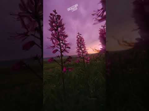 @alexkeepermusic Save me - Alex keeper ( Simple Nostalgia unofficial music video)