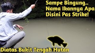 Download lagu MASUK KE TENGAH HUTAN! PERTAMA KALI MANCING IKAN DI SPOT AIR TERJUN mp3