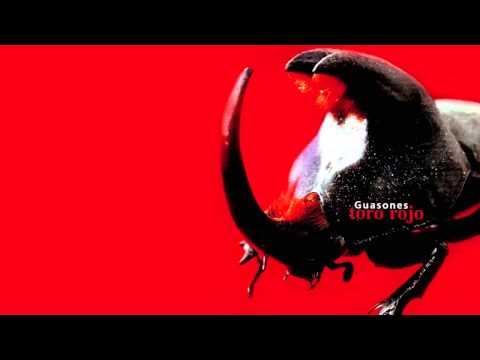 Guasones - Toro rojo [AUDIO, FULL ALBUM 2005]