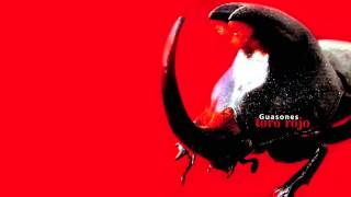 Toro Rojo Lyrics English Translation