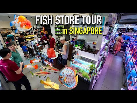 Fish Store Reno Nv