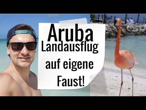 TUI Mein Schiff - AIDA - Aruba Landausflug auf eigene Faust Karibik
