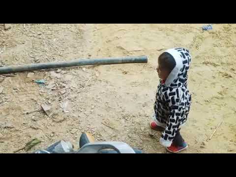 doggy 🐶🐶 eat food 🍴🍕 by rajdeep singh