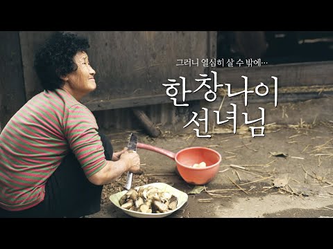 [한창나이 선녀님] 런칭 예고편 : 원효연 감독 : 2021.10 : DMZ국제다큐멘터리영화제 예고편