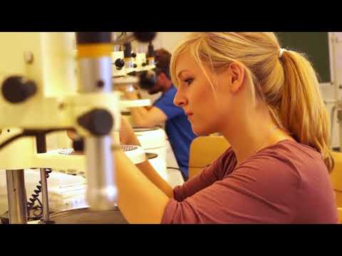 Einblicke in die Weiterbildung zum Zahntechnikermeister