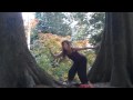 the tall tear trees daily dance 10 05 09