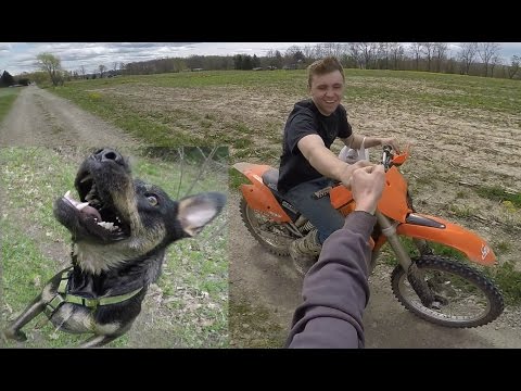 DIRT BIKES & DOGS are AWESOME