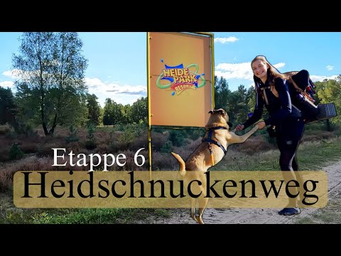 Als der Bus uns stehen ließ… | Heidschnuckenweg Etappe6 | Bispingen-Soltau (23km wandern) |HeidePark