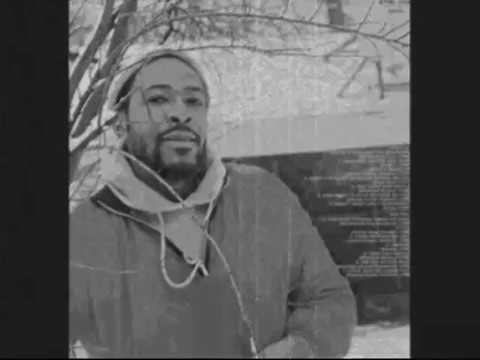 Marvin Gaye " The shadow of your smile " Ultra rare-unreleased motown