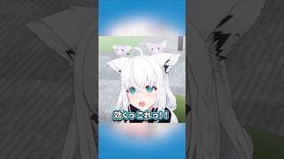 【マッサージ】気持ちよすぎて危険な声が漏れる白上フブキ【ホロライブ切り抜き】 #ホロライブ #白上フブキ #猫又おかゆ