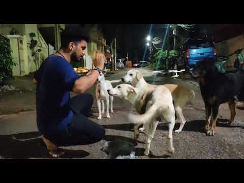 Feed them make them happy help ever hurt never