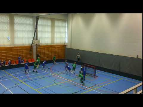 Pakilan Visa - Tikkurilan Tiikerit sininen