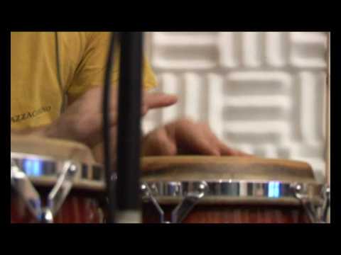 La Badoglieide - Friser (Il fiore Meraviglioso vol 1)