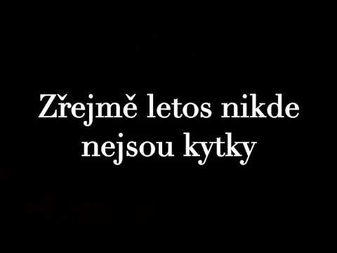 Zřejmě letos nikde nejsou kytky