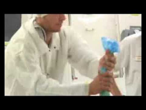 Taylor bakes charity cakes