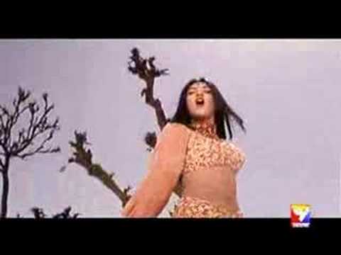 Neomaster & Neverland