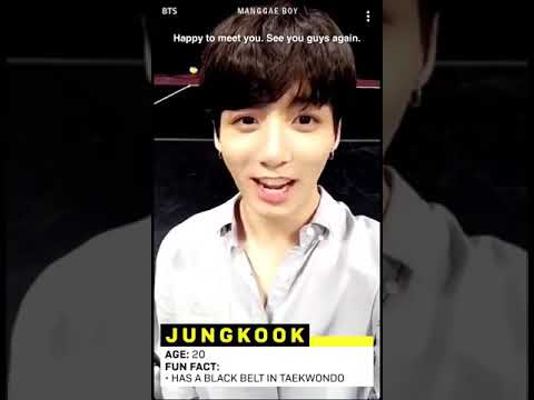 BTS Q&A in SNAPCHAT ROAD TO AMA 171119 (ENGSUB)