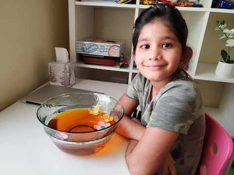 Mayukha's SpringFlowers