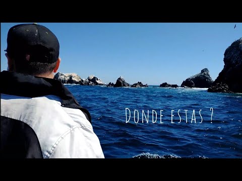 DOCPLEX - DONDE ESTAS - KILLAPROD. (Video Oficial)