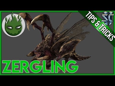 ViBE | Tips and Tricks - Zergling