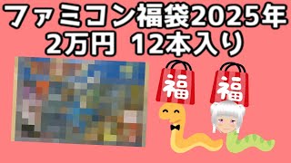 箱説付きファミコン福袋、12本入り2万円を開封！【福袋2025年】