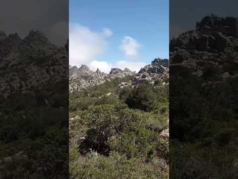 Cima dei Sette Fratelli #гора #природа #montagne #montaña #mountains #montanha #wildlife #sardegna