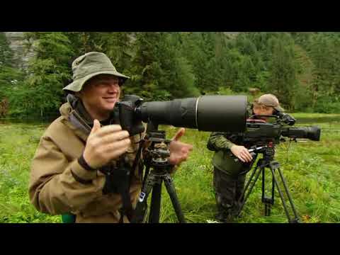 Survival With Ray Mears S01E02 - Bears