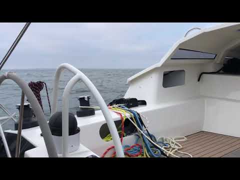 Snow Gum is going on an Adventure