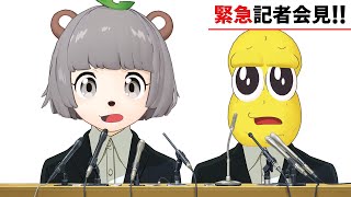 [Vtub] 狸貓花生君 ぽんぽこ24 vol.6 舉辦決定