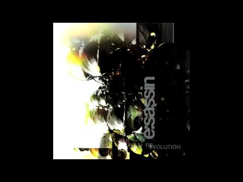 E-Sassin - ReEvolution (2001)