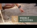 Weekly Activities Update Bushwise