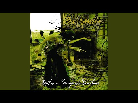 Can I Borrow a Feeling?