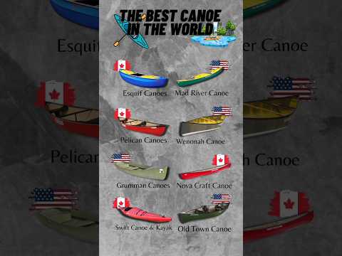 The Best Canoe In The World | #shorts
