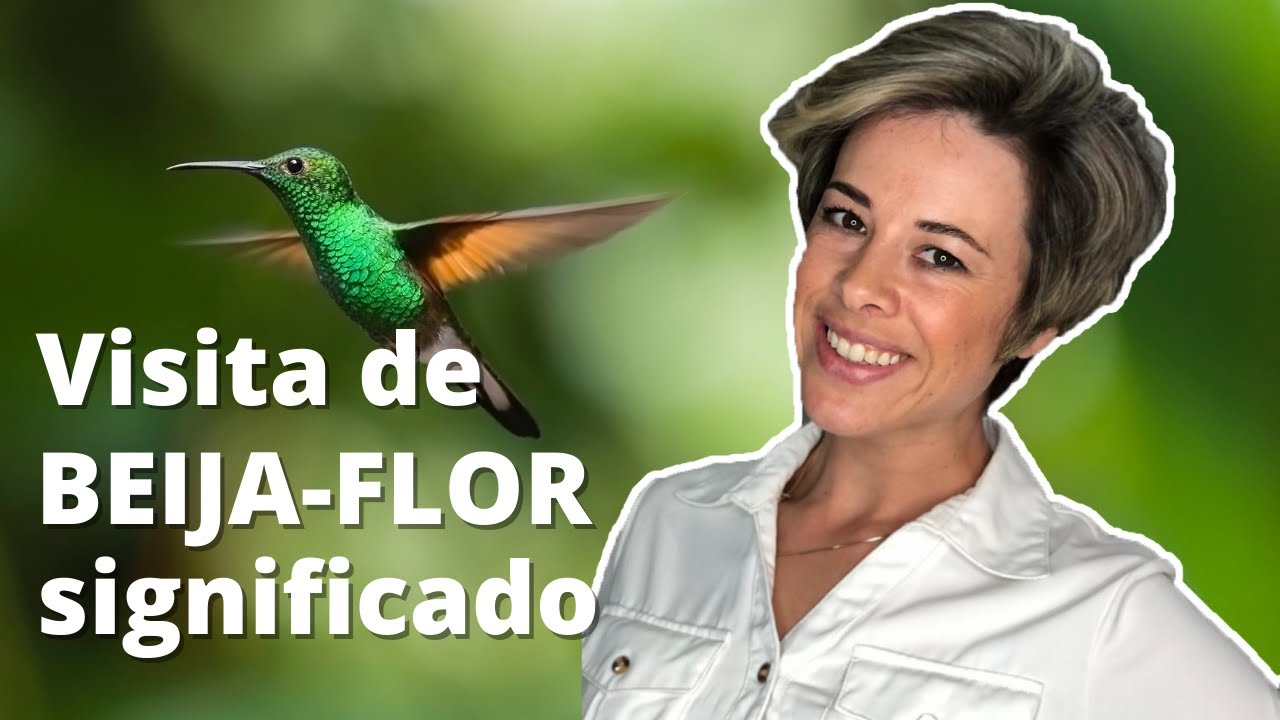 O significado da Visita de Beija-flor em casa!