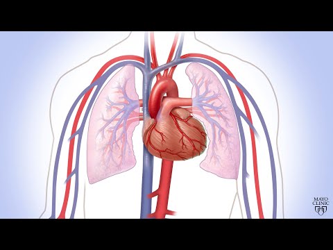 Mayo Clinic Minute - Menopause and the heart connection