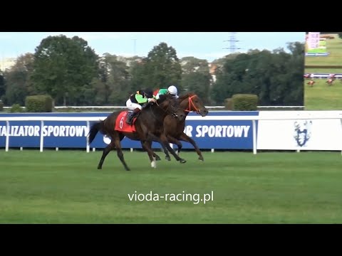 Gon. VIII (Wielka Warszawska) - 11.10.2020 - Nagano Gold (Sixties Icon - Never Enough)