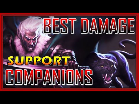 TOP Companions to INCREASE Party DAMAGE! All Buff & Debuff Comps - Neverwinter Mod 21