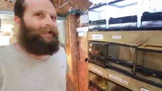 הקיץ הגיע: זהירות עקרבים