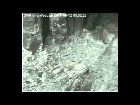 eifel dad 2011 06 12