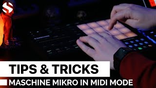 Tips & Tricks: How To Use Maschine Mikro In Midi Mode