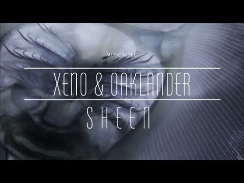 Xeno & Oaklander - Sheen (Official Music Video)