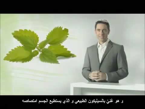 القوة الشافية لنبات الصبار مترجم باللغة العربية